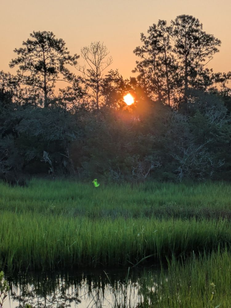 Sunrise over Colleton Creek. Mornings