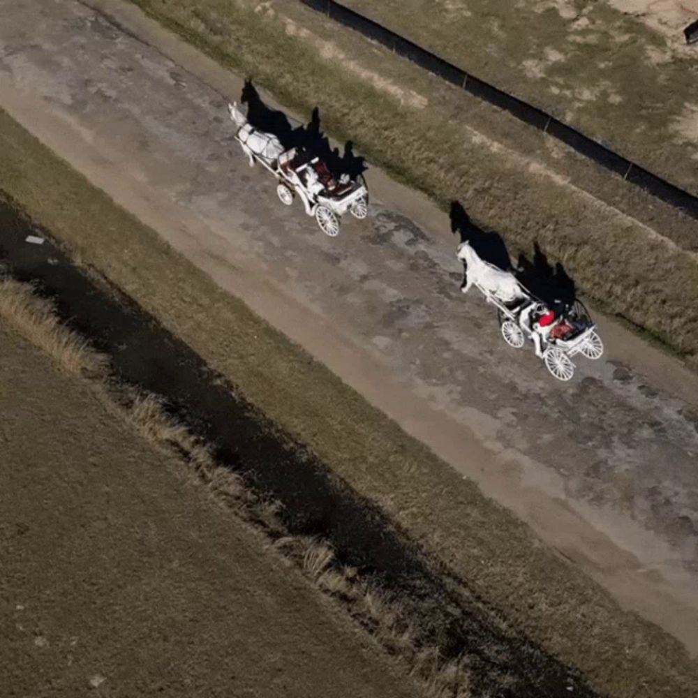 an aerial view of a horse drawn carriage on a dirt road