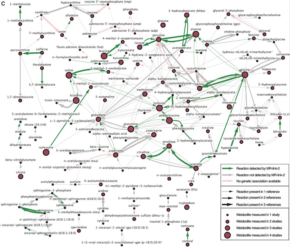 A network of metabolites and their potential causal relationships. Green edges are Detected by the statistical causal inference method MR-link-2