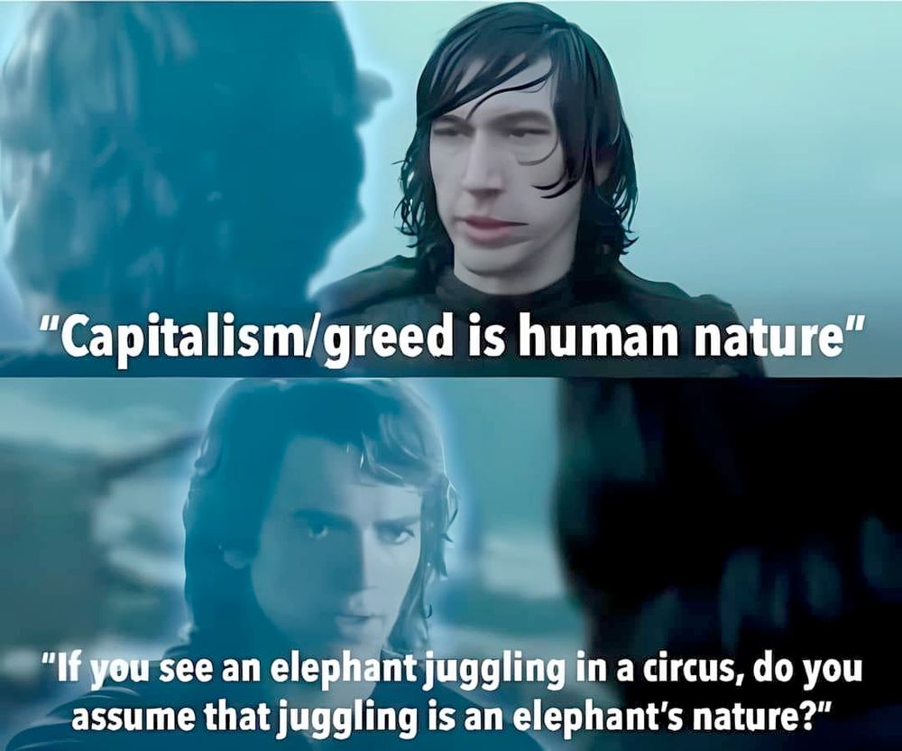 Two-panel image from Star Wars: Rise of Skywalker.  Top panel shows Kylo Ren and the text "Capitalism/green is human nature".  Bottom panel shows force ghost of Anakin Skywalker and the text "If you see an elephant juggling in a circus, do you assume that juggling is an elephant's nature?"