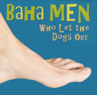 Album cover of Baha Men's "Who Let the Dogs Out" but it's a picture of a foot