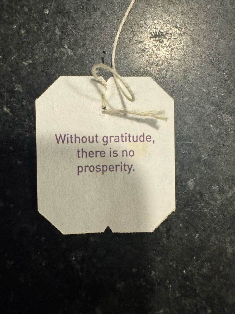 A teabag label says: Without gratitude, there is no prosperity.