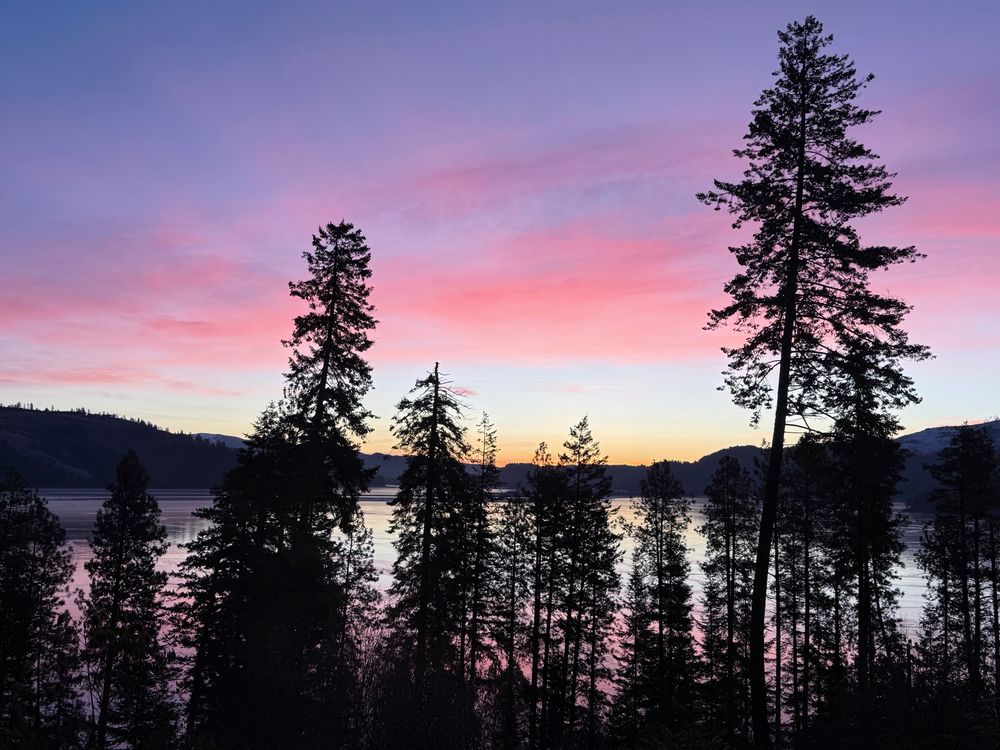 Sunrise over Chatcolet Lake reflected on the ice, with pine and fir trees breaking up the view. 