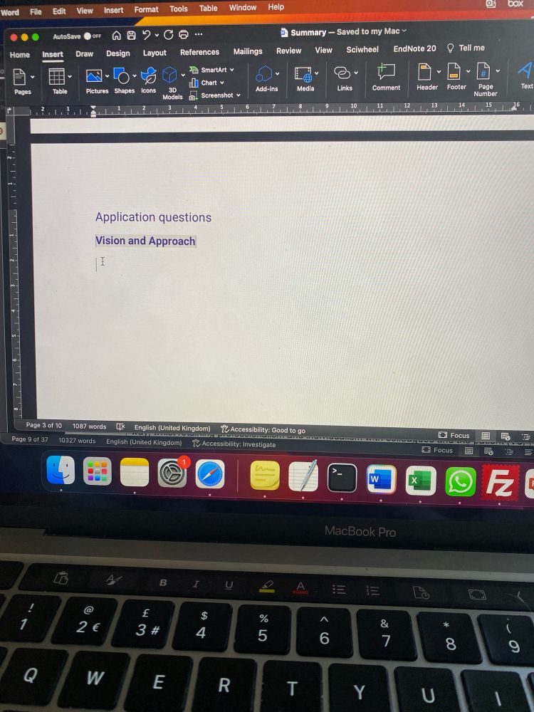 A blank word document on a computer screen