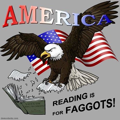 A (presumably) satirical meme from circa the late 2000s/early 2010s, end of the GW Bush Era.

On a neutral gray background, a drawing of a bald eagle tearing up pages off of a book titled "LOTS OF BIG WORDS" by (illegible) over a clipart of a flying flag of the USA. A wavy Office Wordart in a red-white-blue gradient saying "AMERICA" sits on top of the drawing at its upper edge. Bottom-right, below the drawing, is the caption "READING is for (F-SLUR)!"