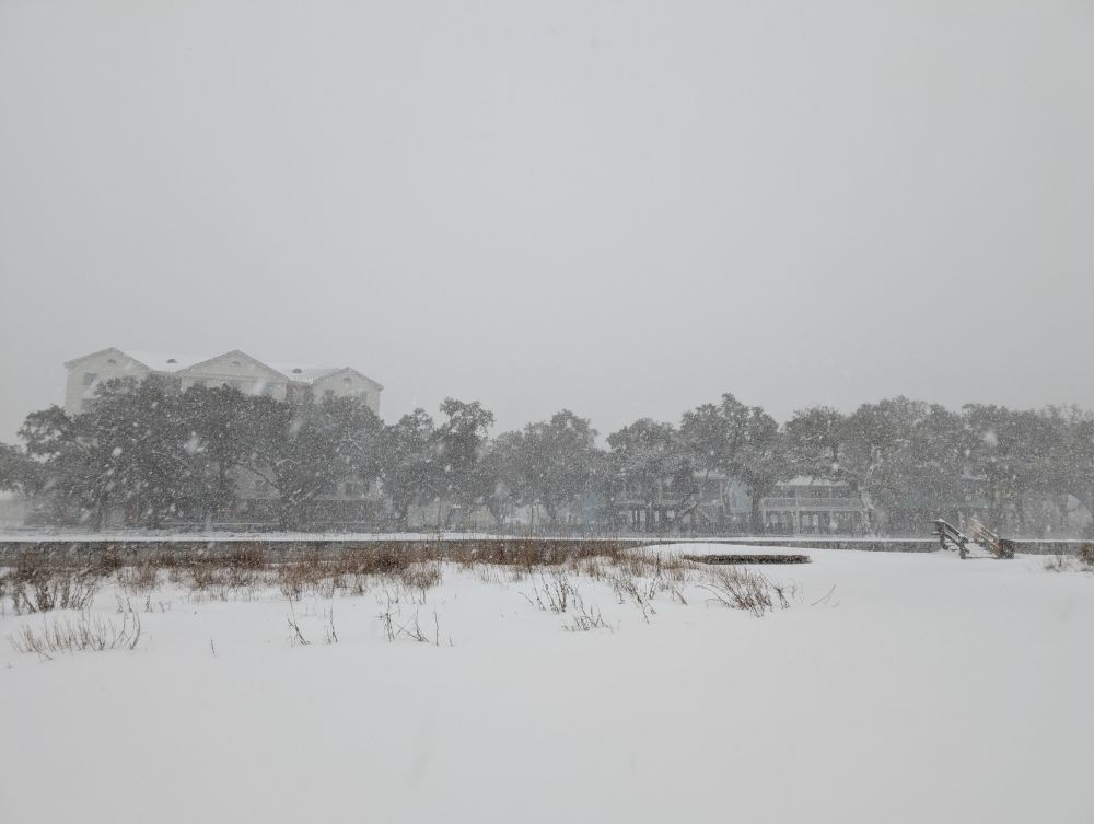 Snow piling up on the beach wall and coating the leaves of oak trees in Long Beach, MS
