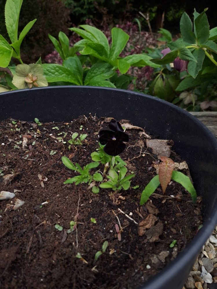 Taken on a Samsung A53

Can be used as human artistic reference as long as usage follows the terms listed in my bio - https://bsky.app/profile/ellyrieve-art-refs.bsky.social

ALL OTHER RIGHTS RESERVED. DO NOT USE FOR AI TRAINING