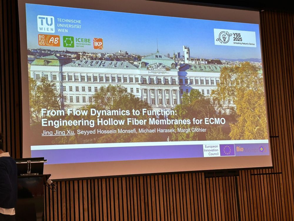 Titelpage of Jing Jing Xus presentation projected on the wall