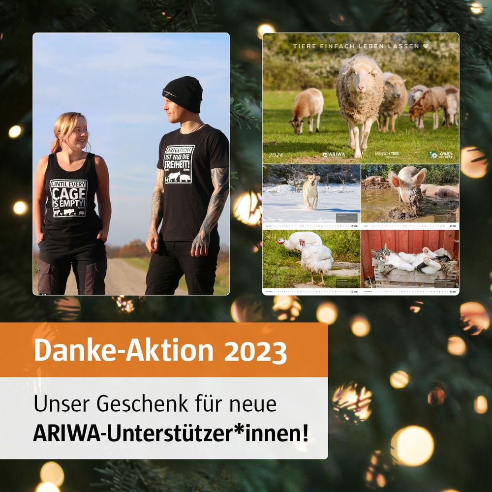 Danke-Aktion 2023: Unser Geschenk für neue ARIWA-Unterstützer*innen!