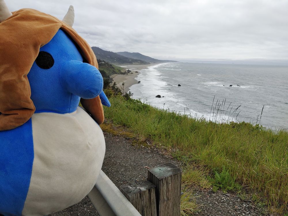 The creature looks out to sea