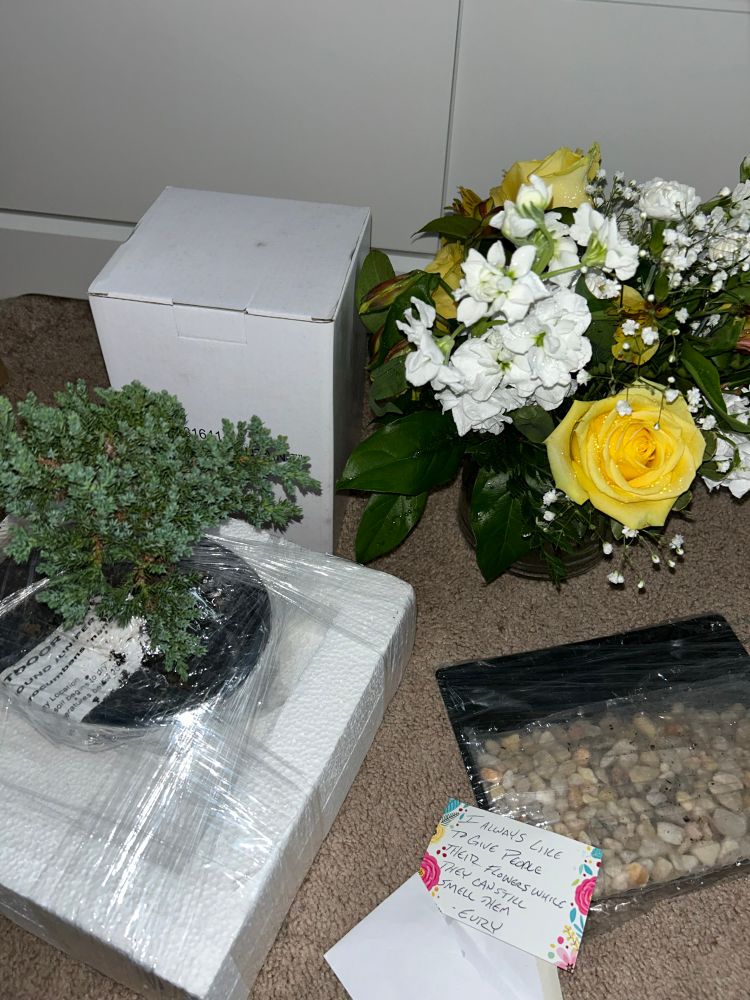a package from my best friend. it contained a juniper bonsai tree, river rocks for the tree stand, a water fountain, & a bouquet of flowers. the flowers are white and yellow.