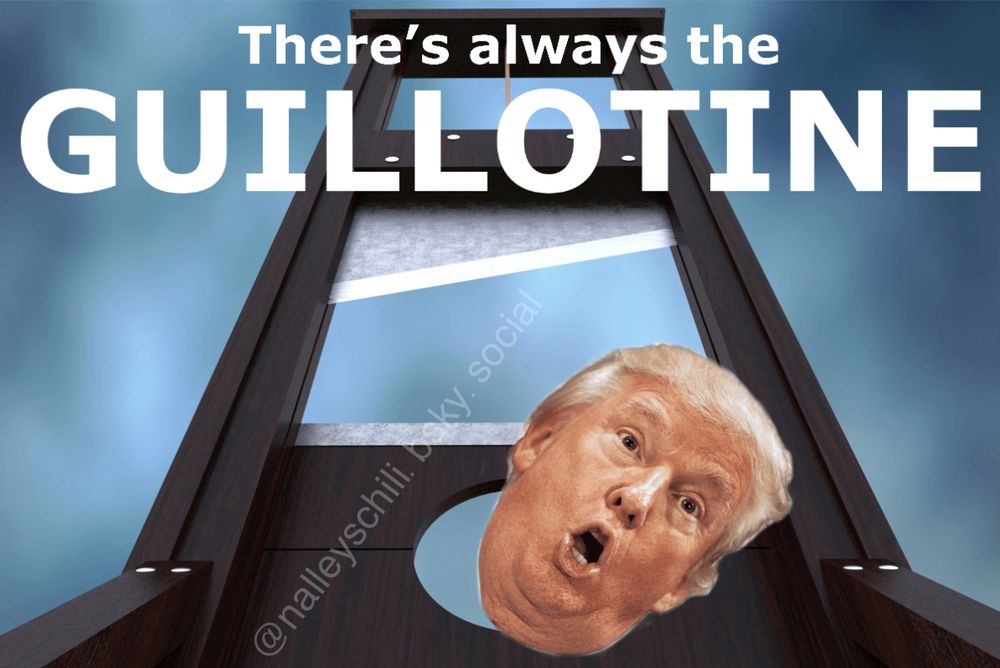 A guillotine chopping off Trump’s head, Trump making a stupid “oh!” Face, with the caption “there’s always the guillotine”