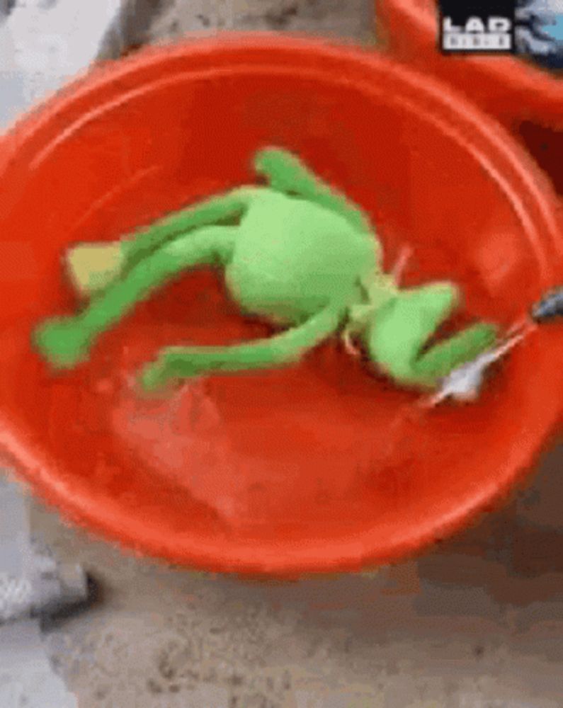 a stuffed frog is floating in a red bowl of water .