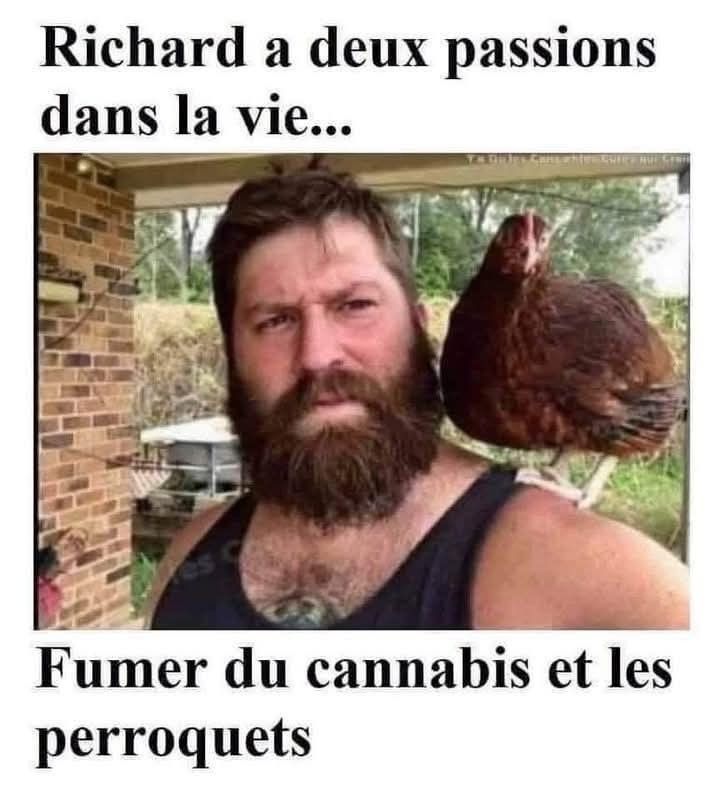 Gros barbu avec un perroquets avec marqué,
"Richard a deux passions dans la vie... Fumer du cannabis et les perroquets"