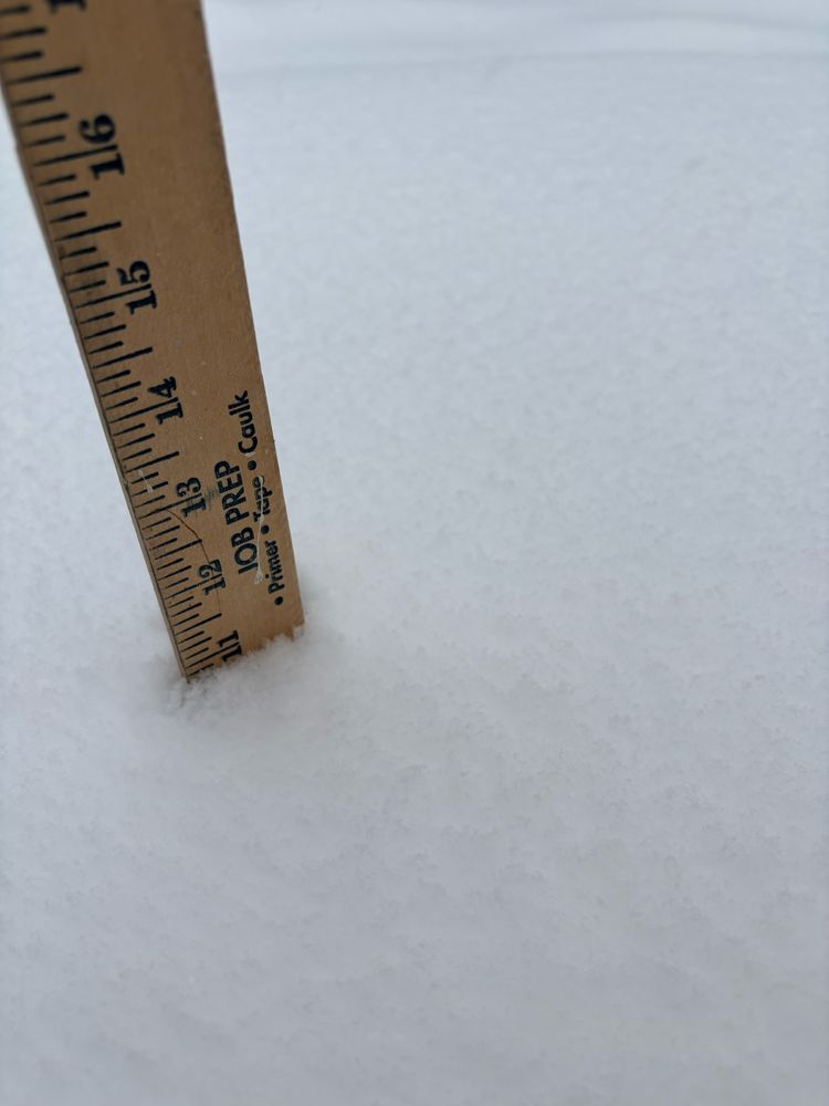 11 inches of snow in New Orleans. Yard stick in the snow.
