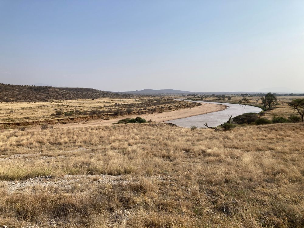 Buffalo Springs National Reserve, and on the other side of the river, Samburu National Reserve. The landscape here reminds me of Kafue National Park in Zambia.