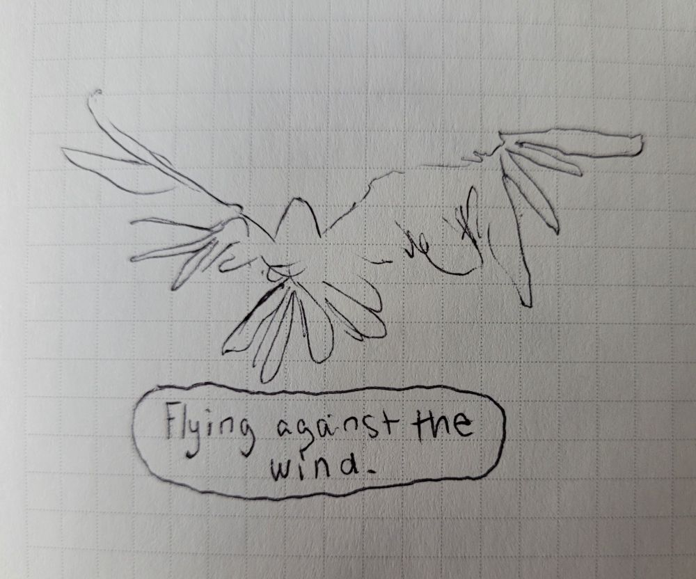 Tiny 30 second drawing of a bird
Text reads "flying against the wind" 