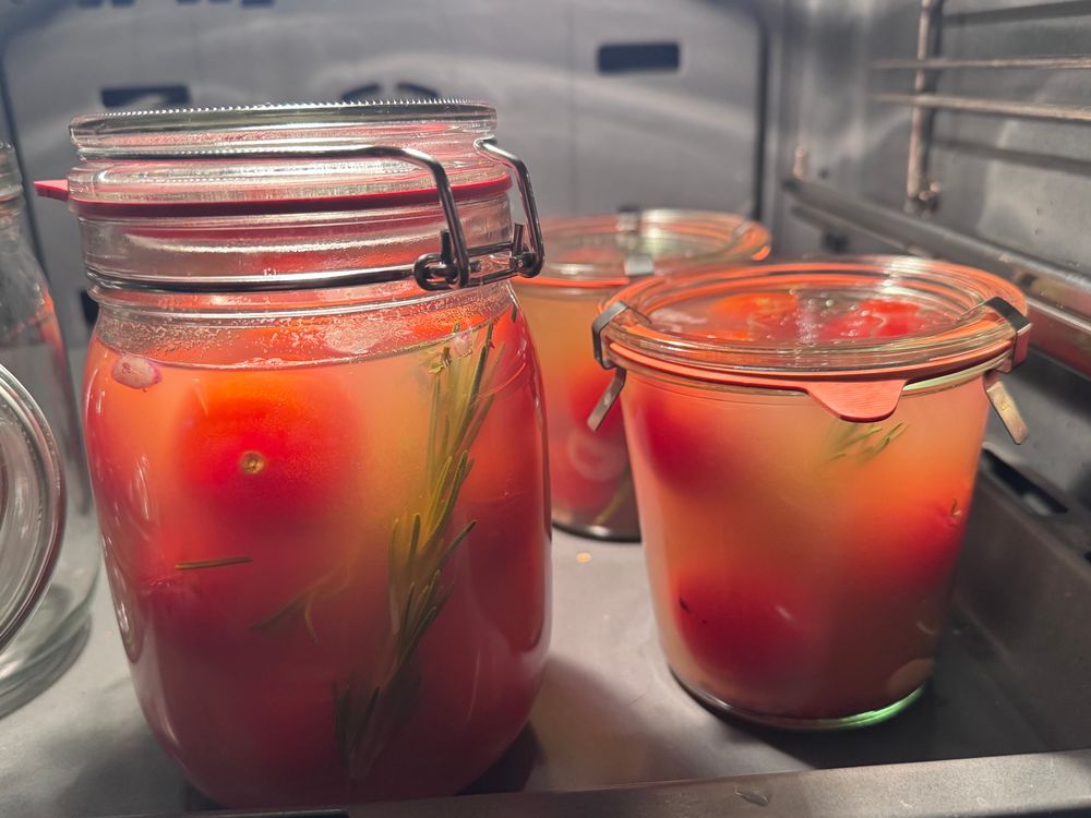 Einweckgläser im Ofen gefüllt mit Tomaten und Flüssigkeit 