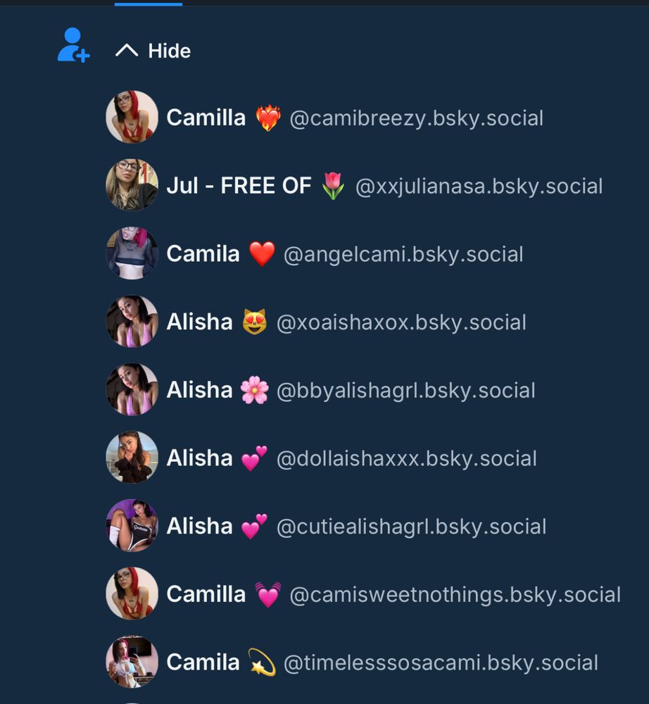A screenshot of new followers, they are nearly all named Camilla or Alisha. 