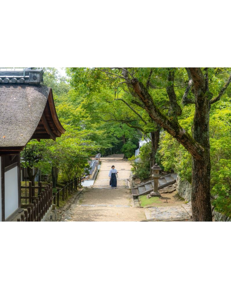 Imagen desde el santuario Kasuga Taisha en Nara. En la parte izquierda se ven edificaciones del templo, en la pared derecha se ven arboles.

En el centro de la imagen hay una mujer con ropa tradicional japonesa.