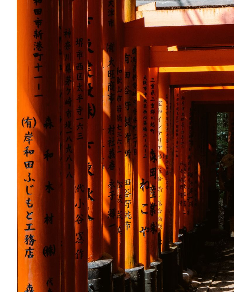 Detalle de algunas puertas torii en Fushimi Inari