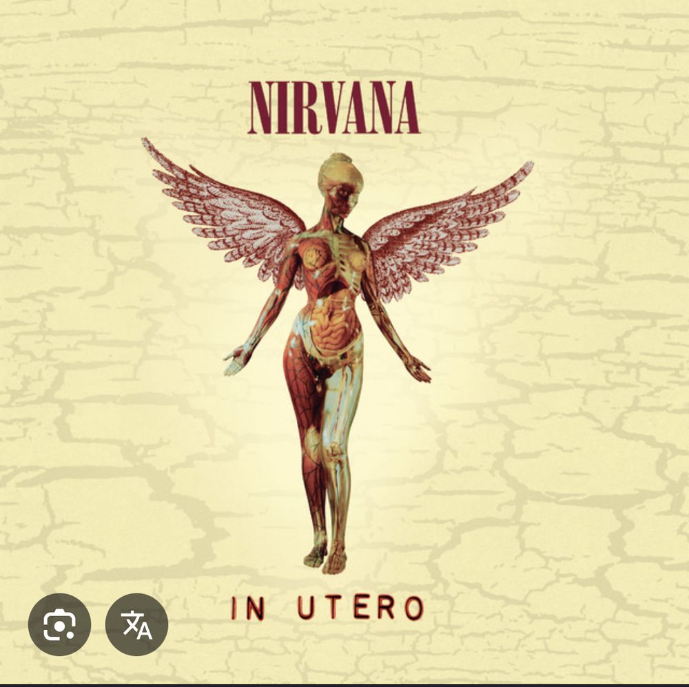 Nirvana In Utero album cover which shows an anatomical model of a woman with angel wings. 