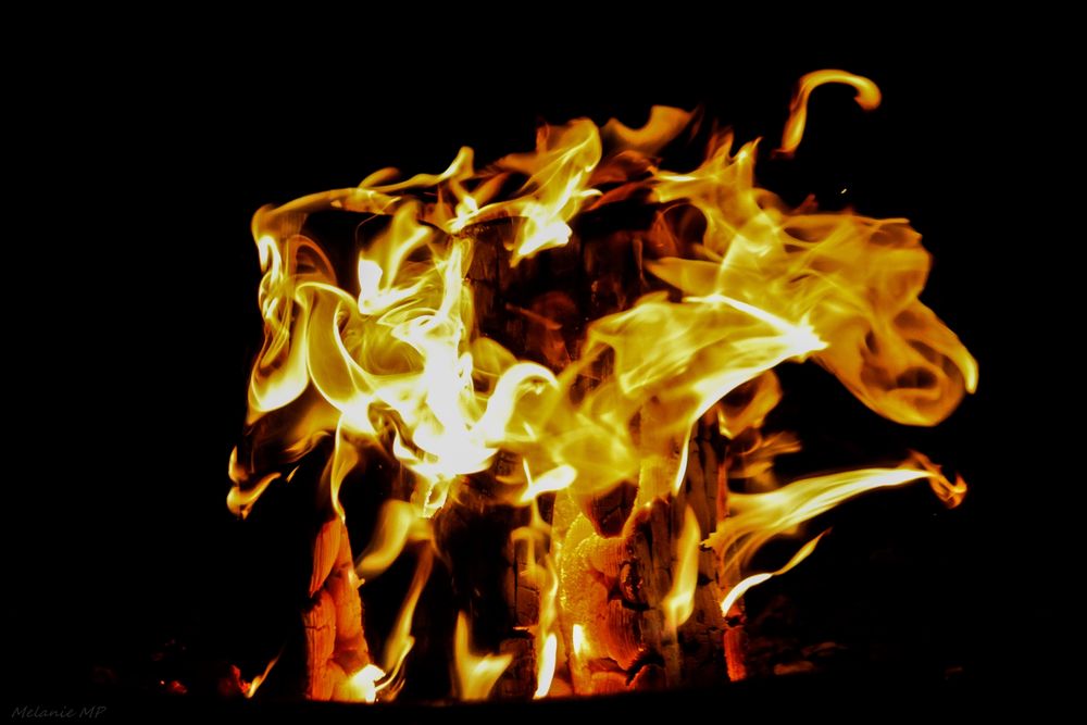 Ein Farbfoto im Querformat. Ein Lagerfeuer, das Bild fast ausfüllrnd vor schwarzem Hintergrund 