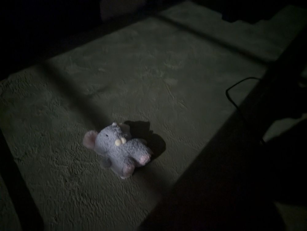 月明かりがとても明るくて喜んでるぬいぐるみ