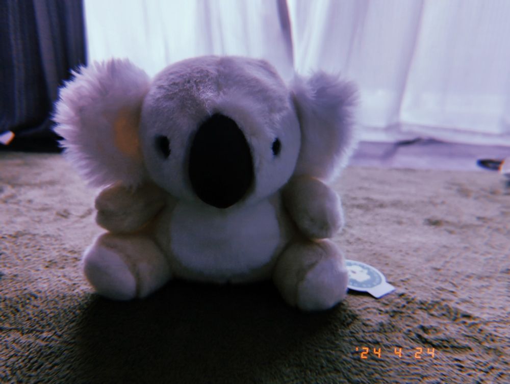 🦦👶ぬいぐるみかわいいね〜