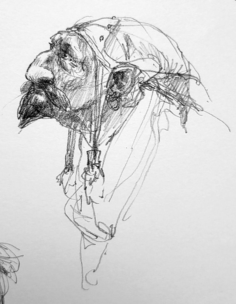 Pencil portrait of an old man with a goatee, undoubtedly from a fantastic universe, his pointed ears and dwarf-cut leather cap suggest that he is a mountainside trader