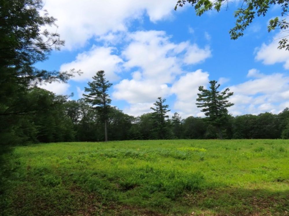 Spring Ledge Farm meadow 