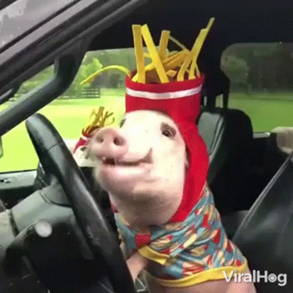 Chewing Viralhog GIF