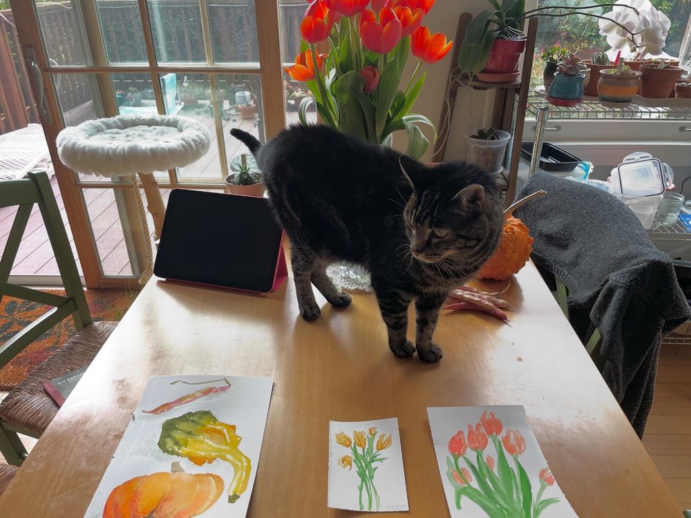 A black tabby cat on a table looks at 3 watercolor paintings in front of her: a panting of gourds and a cranberry bean pod, a painting of yellow tulips, and a painting of orange tulips. The orange tulips from the painting are also in the base behind her. 