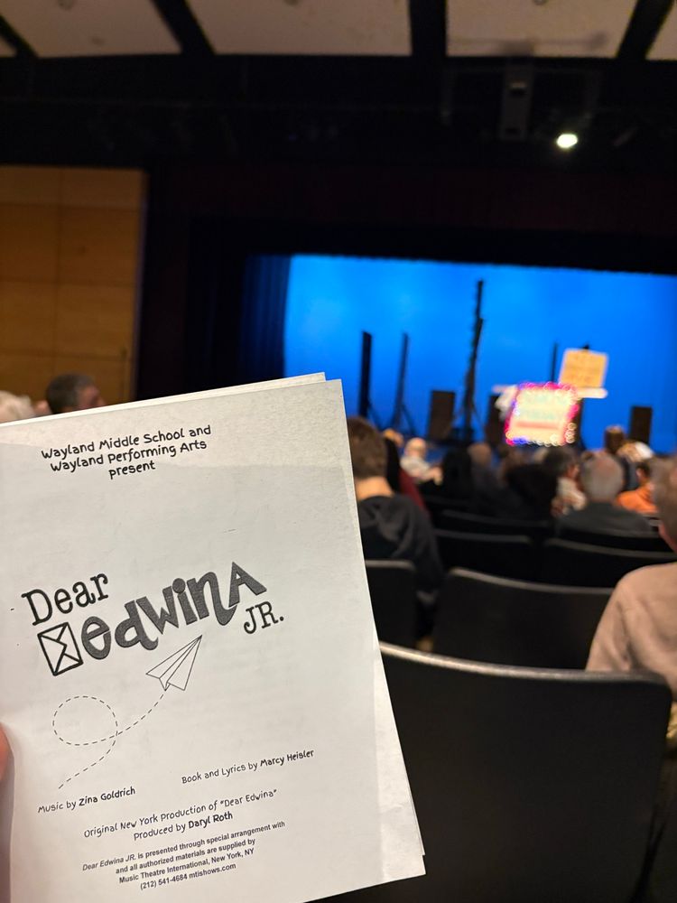 A photocopied program for Dear Edwina Jr is held from the audience perspective in front of a stage a few rows ahead.  The stage has blue backlighting and several indistinguishable set pieces.  There are audience members in the seats.