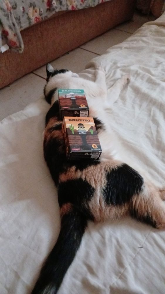 Minha gata calico deitada com duas caixas de jogos apoiada nela, um dos jogos é o "bandido" e o outro "bandida"