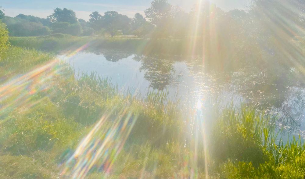Low morning sun with rays refracting on pond and trees 