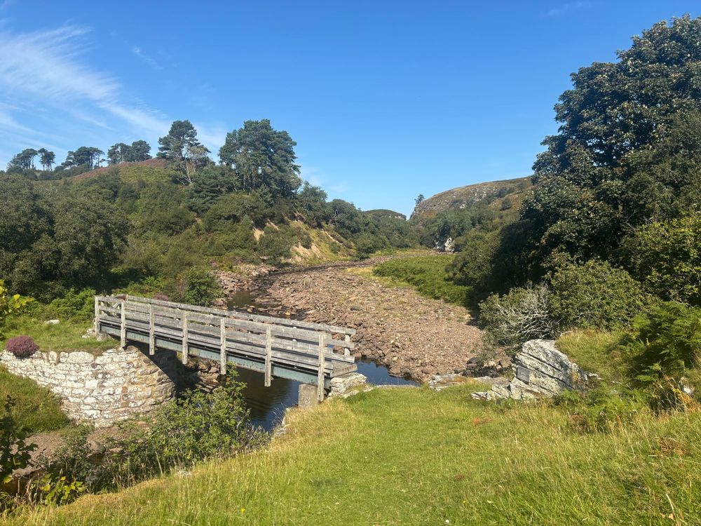 A footbridge over Dunbeath Strath with lush vegetation at either side of the river. It’s a beautiful sunny day with clear blue sky