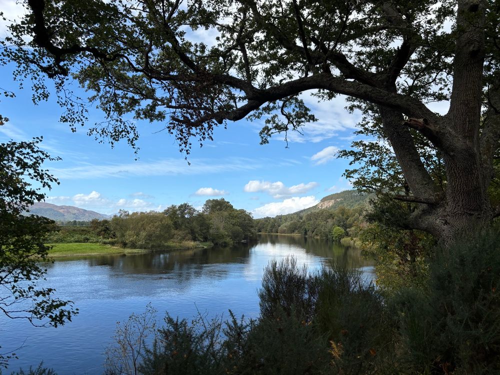 A sunny day with blue sky reflecting beautifully on a wide river. The river is bordered by trees and lush green growth and there are mountains in the distance 