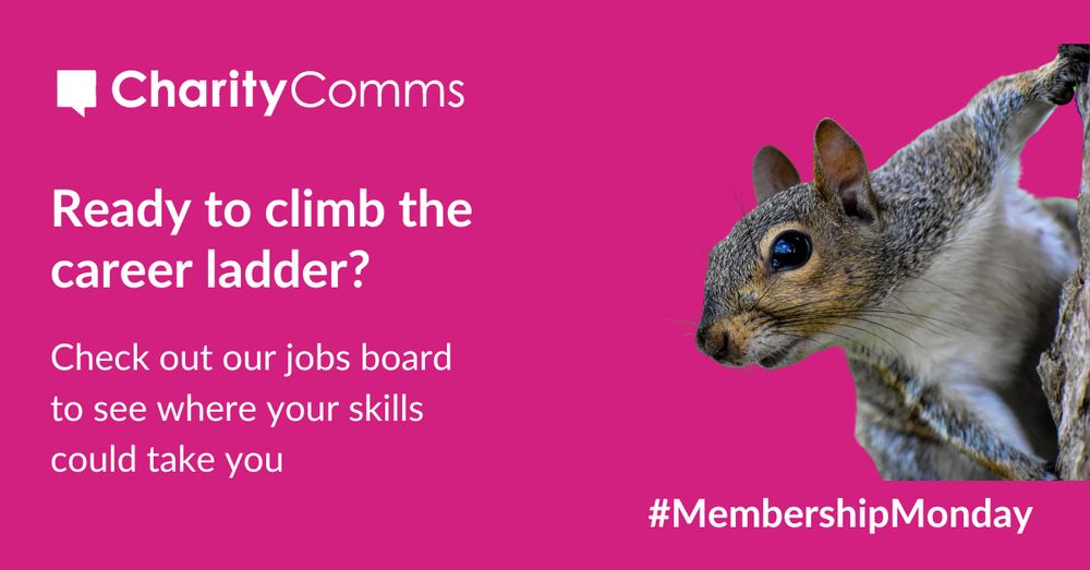 Squirrel peeking from a tree branch against a pink background with text that reads: Ready to climb the career ladder? Check out our jobs board to see where your skills could take you with the CharityComms logo and #MembershipMonday.