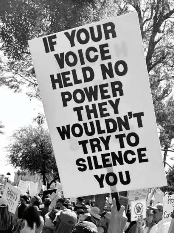 Protest sign: If your voice held no power, they wouldn't try to silence you
