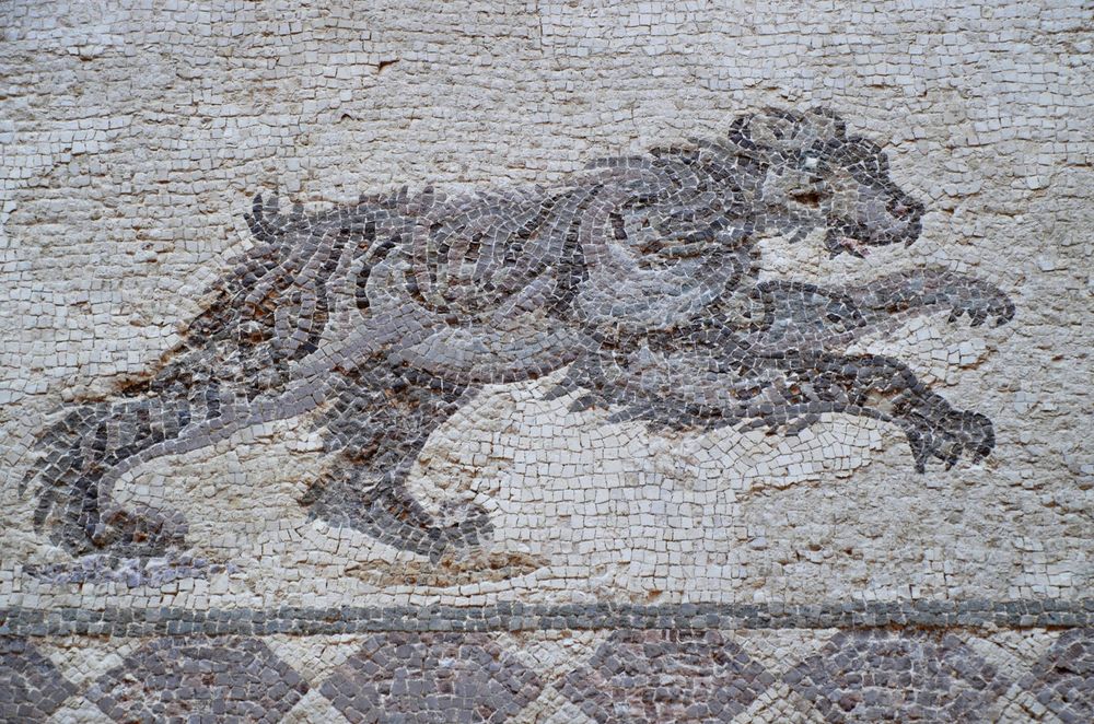 Depiction of a bear on the Hunting scene mosaic from the House of Dionysus in Paphos, Cyprus. Dated to the late 2nd/early 3rd century AD.