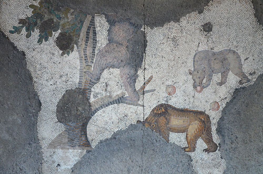 Three bears on the the 6th century mosaic floor from the Palatium Magnum (Constantinople's Great Palace).
Palace Mosaic Museum, Istanbul.