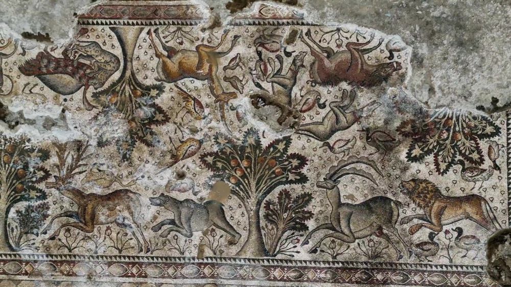 Roman mosaic with intricate wildlife images discovered in Türkiye