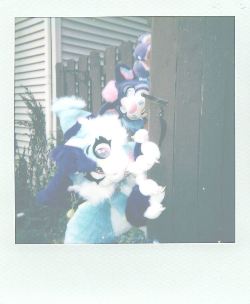 Almost fully developed polaroid of two creatures about to attack an innocent UPS delivery driver... LOOK OUT!