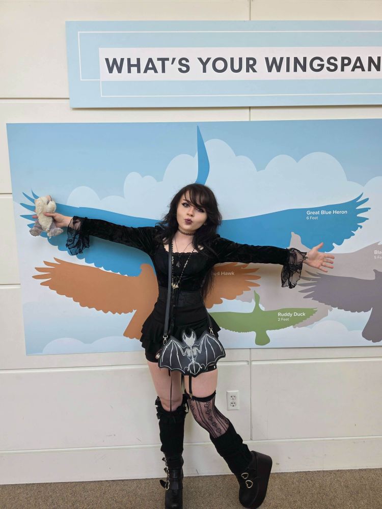 I (previously described in image before this) stand in front of a infographic mockup demonstrating the wingspan of various birds. I am challenging the wingspan of the great blue heron, though fall a couple of inches short. 