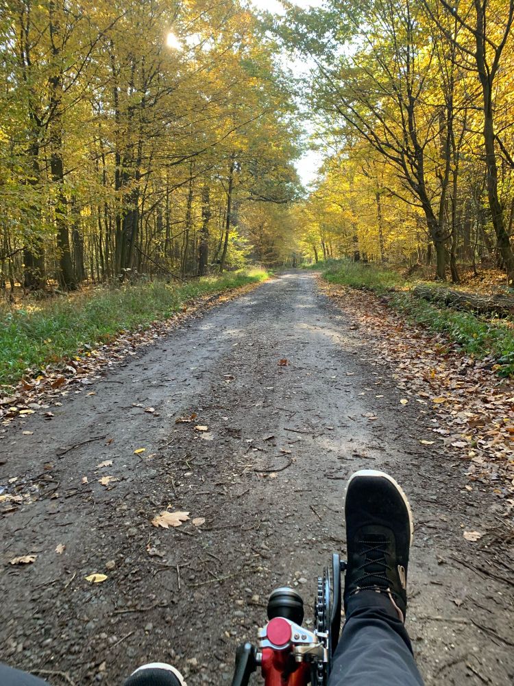 Ein Feldweg mit herbstlich verfärbten Bäumen und der vordere Teil eines Liegefahrrads.