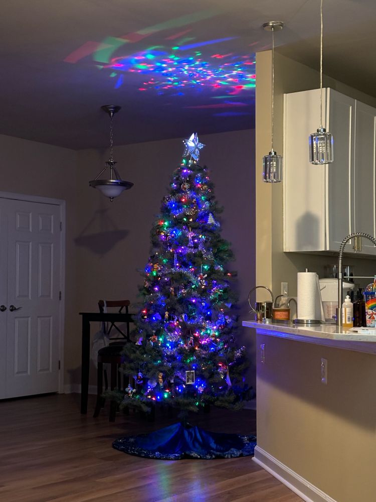 A Christmas tree in a relatively dark room so you can see all the colorful lights on. I love the star on top because it projects spinning lights on the ceiling. 