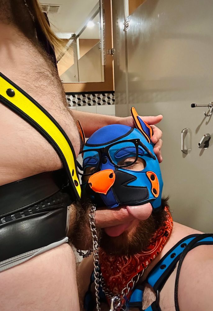 Pylon sucking Subby Pup Odd’s beautiful hard bone from the side and wrapping his tongue around it.