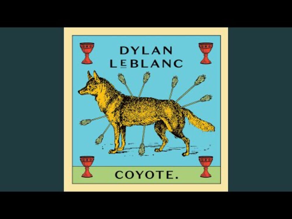Coyote