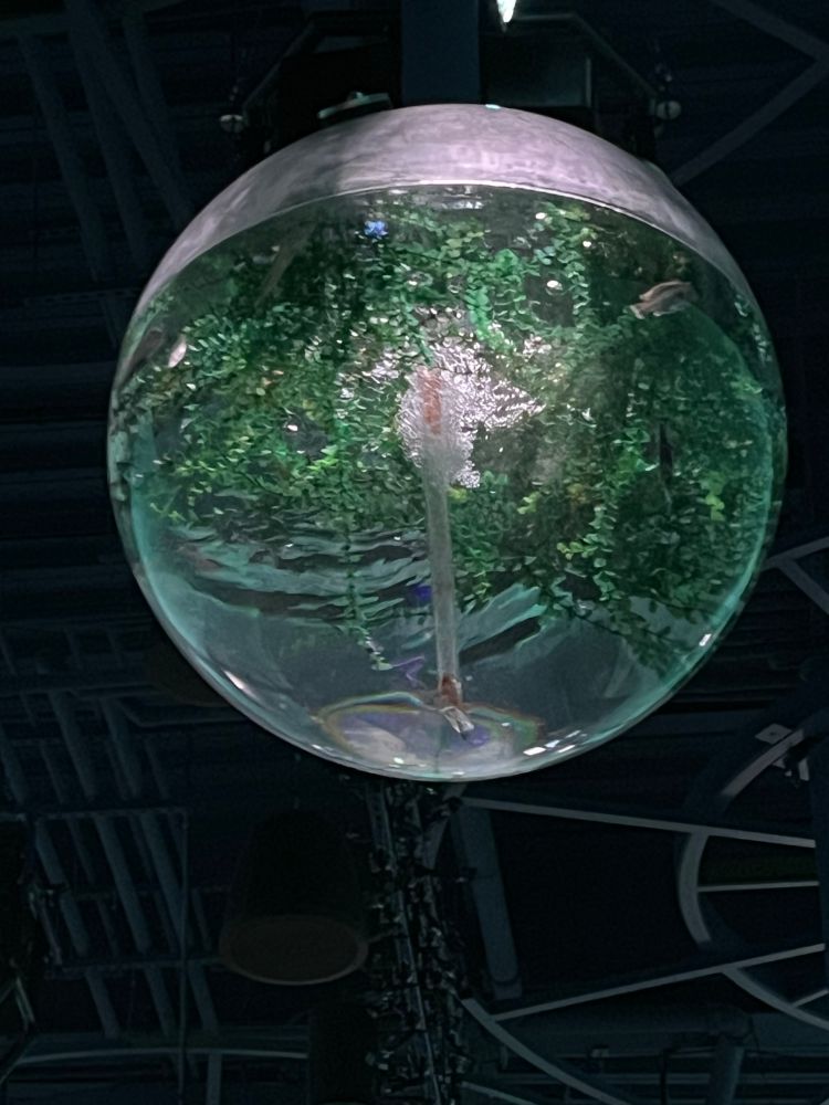 dangling ceiling aquarium tank fixture light thing